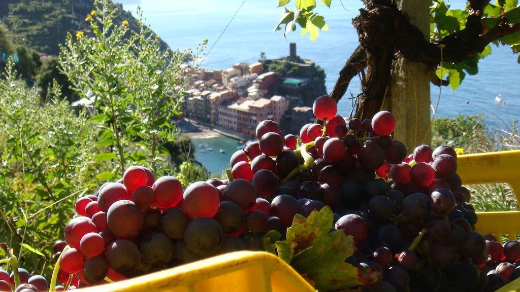 Casa Vacanze Zia Maria Apartment Vernazza Room photo